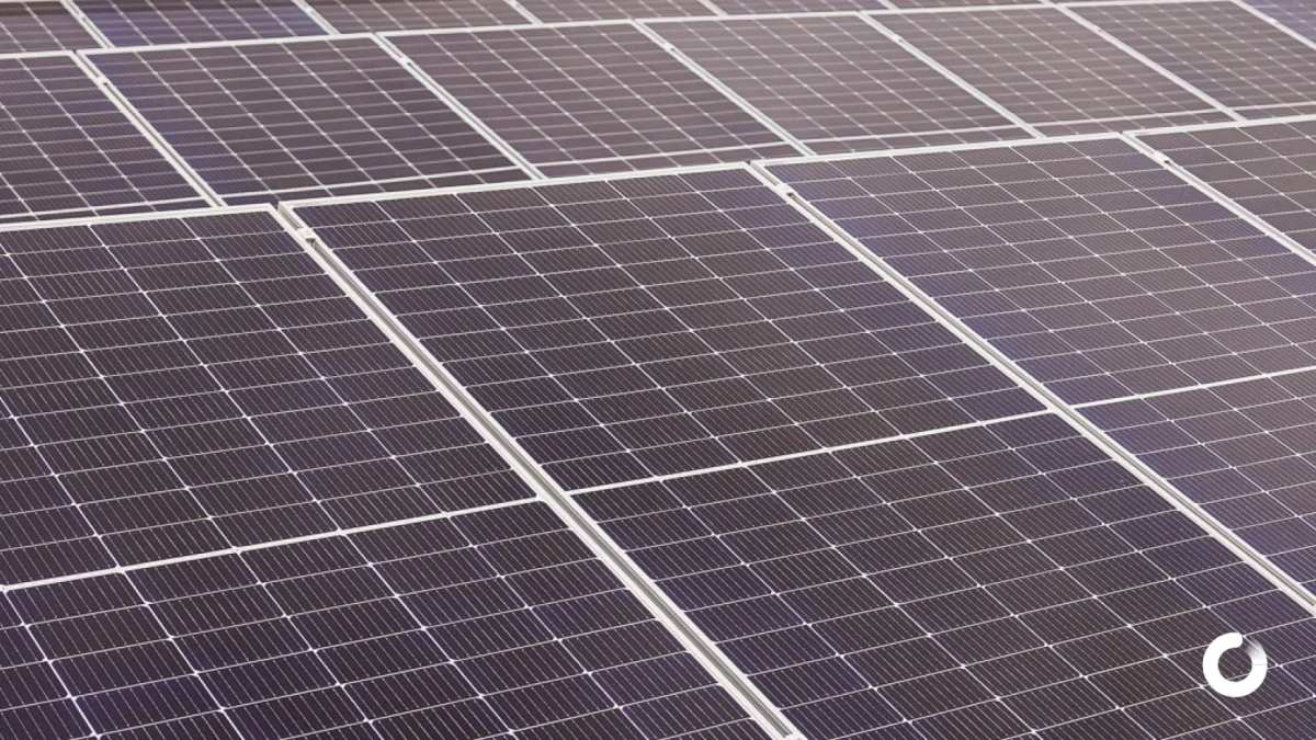 Mantenimiento de placas solares: todo lo que necesitas saber