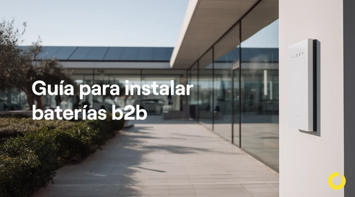 Guia completa baterías b2b