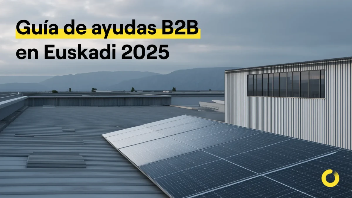 Programa de ayuda eve para empresas vascas