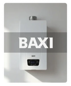 Baxi
