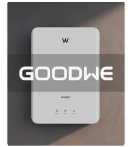 Goodwe