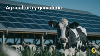Placas solares en agricultura y ganadería