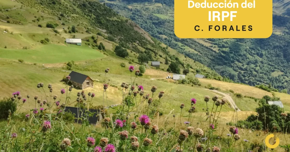 Deducciones en el IRPF al autoconsumo en Navarra y País Vasco [2026]